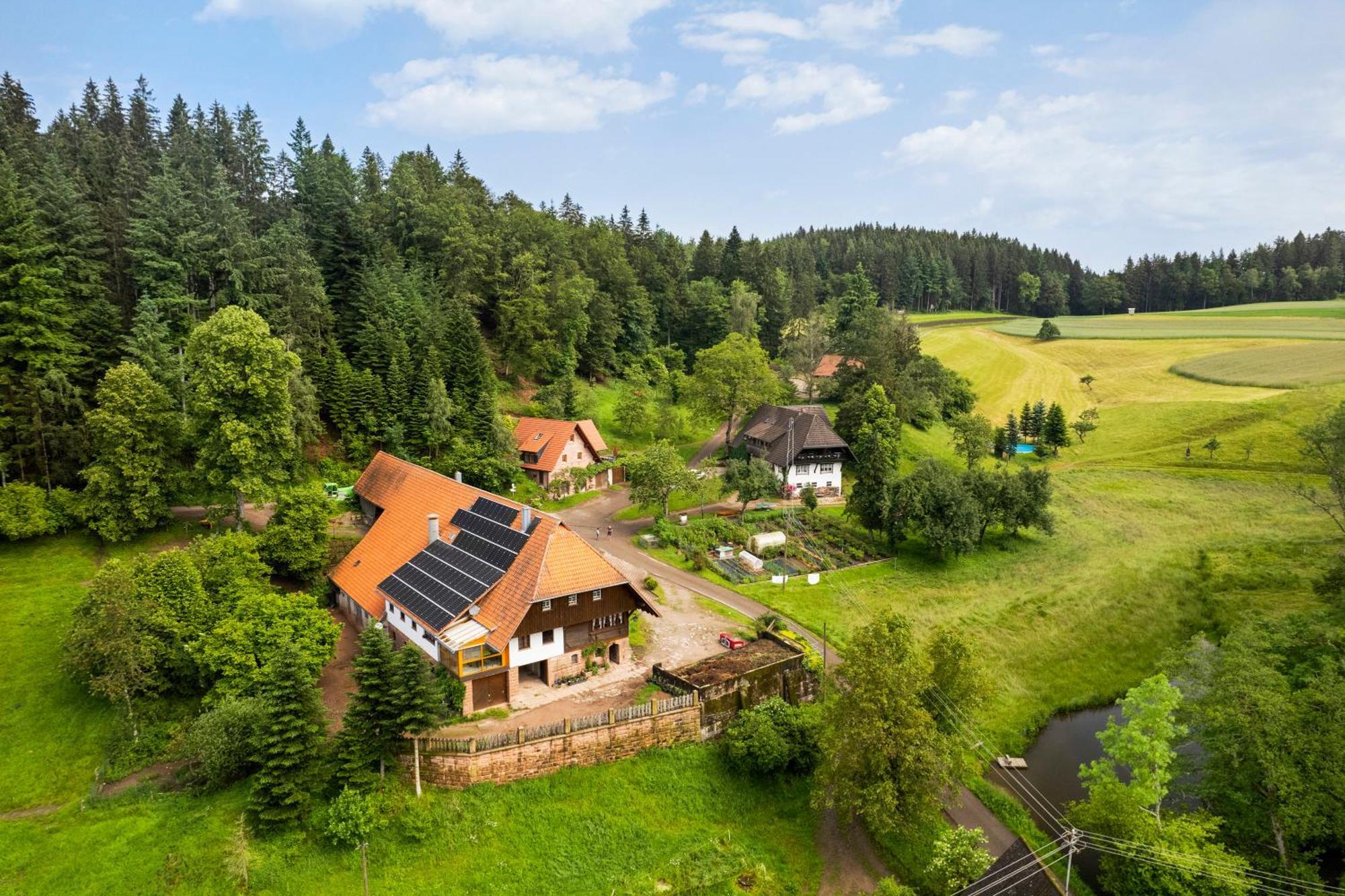 Hexenhaeuschen Villa Wolfach Exterior foto