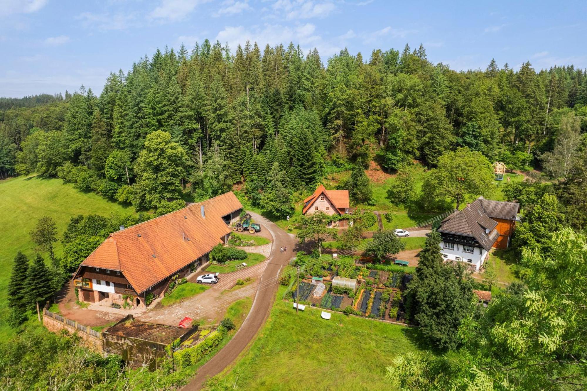 Hexenhaeuschen Villa Wolfach Exterior foto